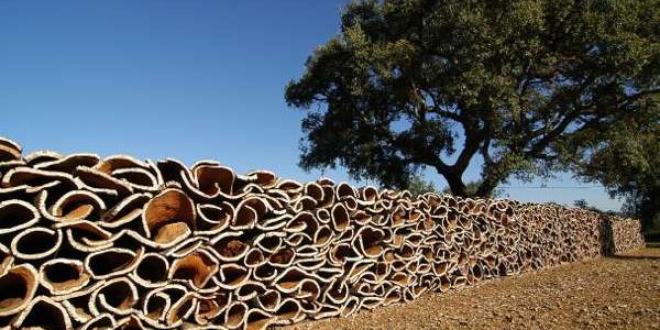 cork-production
