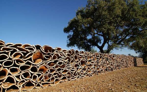 cork bark cork-production