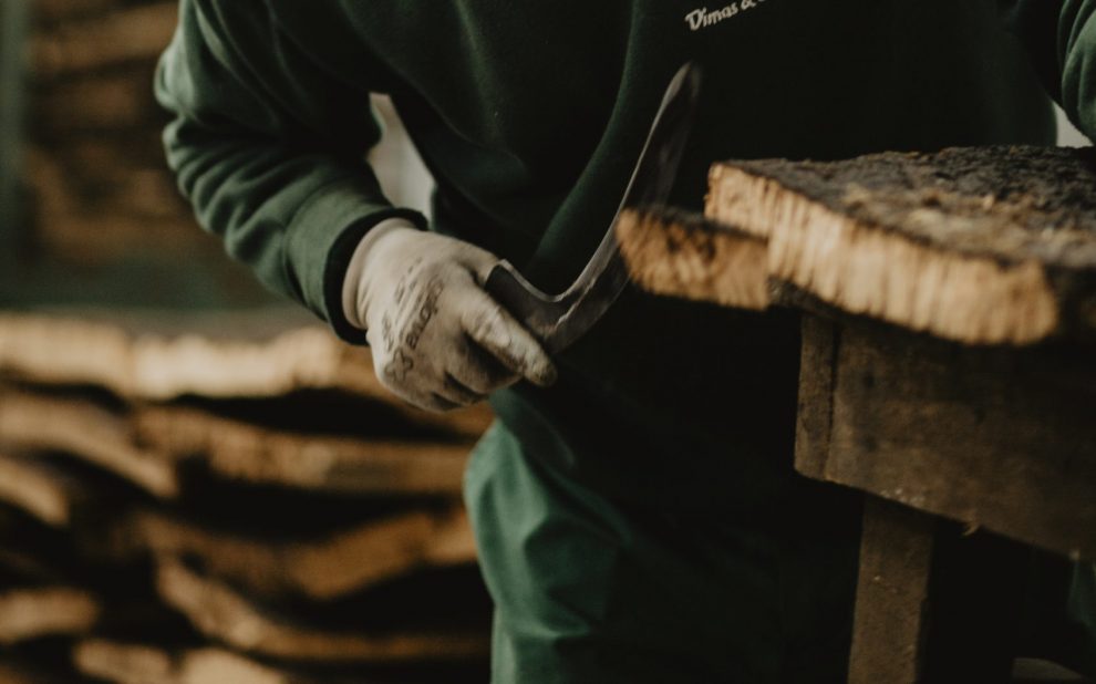 Cork_Link_CARINAPILZ-36