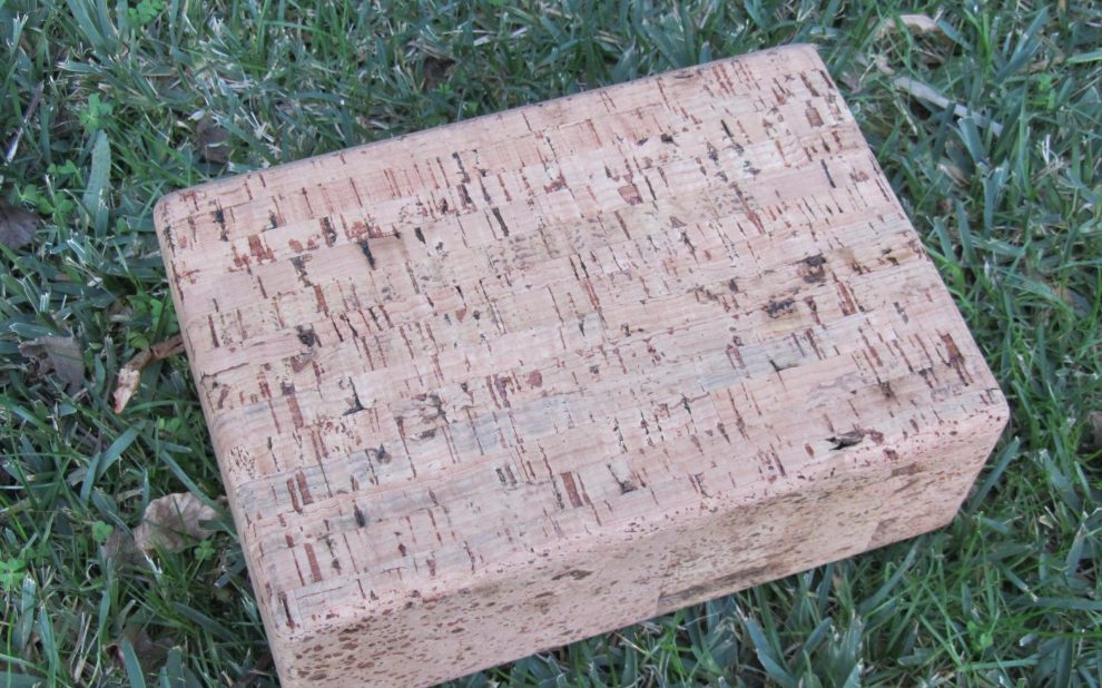 IMG_8280 natural cork yoga brick