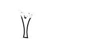 CorkLink  - cork products direct from Portugal