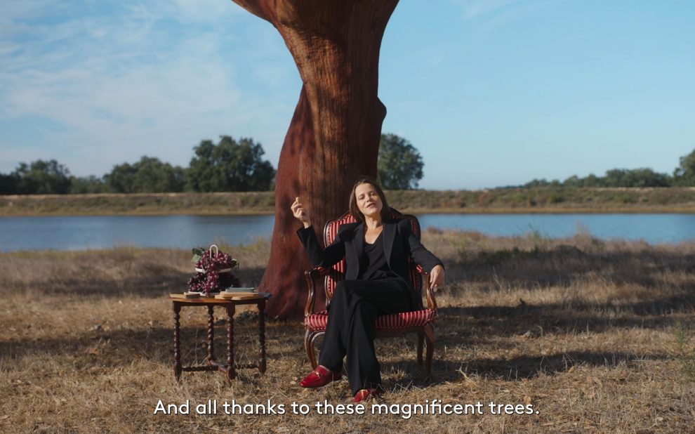 cork video portugal cork